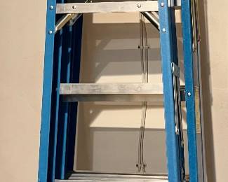 Werner 6' & 8' Ladders
