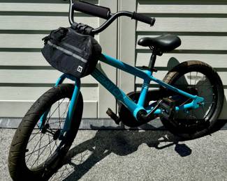 Batch Children's Bike
