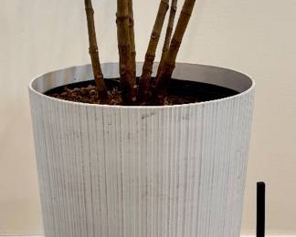West Elm Planter with House Plant