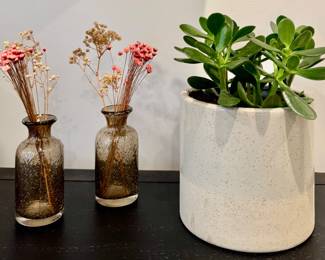 Art Glass Vases & House Plant