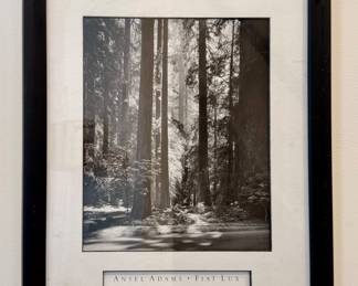 Ansel Adams "Redwoods" 