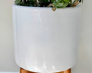 West Elm Planter with Succulents