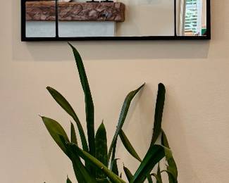West Elm Mid-Century Planter with House Plant