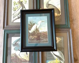 5 Bird Prints