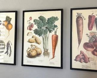 3 Vegetable Prints