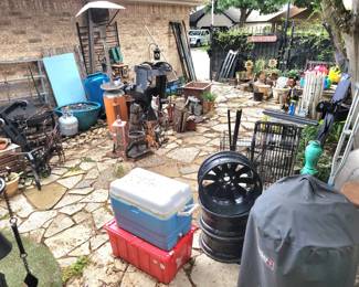 View of the back yard