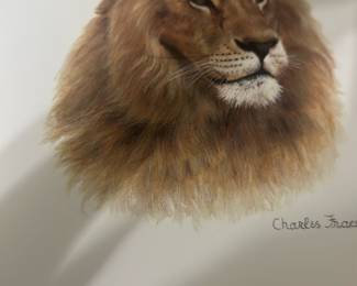 6 Charles Fracé Animal Prints — Lot of 6 Charles Fracé wildlife art prints featuring detailed animal portraits including an African Lion and tiger studies. Each print is high-quality giclée-style on heavy paper; one sheet includes a biographical text page about Charles Fracé. Ideal for framing or gallery display in a den or office; colors are naturalistic browns, tans, and neutrals. Prints appear in good condition with minimal visible wear from handling; sold as a group of 6 unframed prints from the Bonus Up Room.