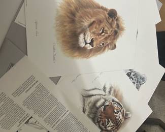 6 Charles Fracé Animal Prints — Lot of 6 Charles Fracé wildlife art prints featuring detailed animal portraits including an African Lion and tiger studies. Each print is high-quality giclée-style on heavy paper; one sheet includes a biographical text page about Charles Fracé. Ideal for framing or gallery display in a den or office; colors are naturalistic browns, tans, and neutrals. Prints appear in good condition with minimal visible wear from handling; sold as a group of 6 unframed prints from the Bonus Up Room.