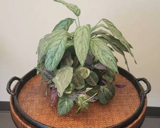 Vintage Rattan and Wood Round Tray Table with Faux Plant