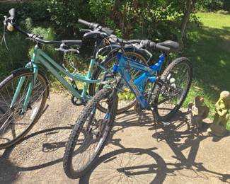 Dynacraft Aftershock Mountain Bike and Schwinn Hybrid Bike