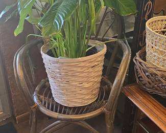 Rattan Peacock Chair with Potted Plant