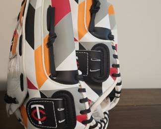TCG "The Catch" Baseball Glove