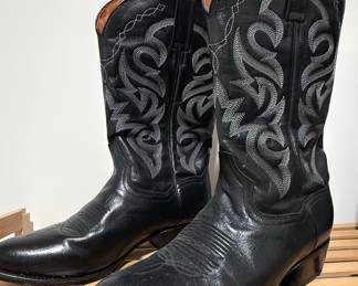 Dan Post Milwaukee Western Boots DP2110