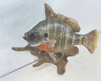 Authentic Taxadermized Fish Mount
