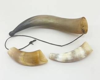 Lot of 3 Authentic Bovine Horns