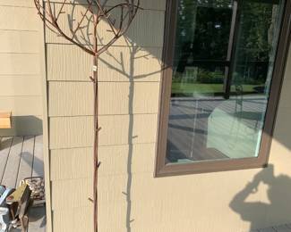 #256	72 inch tall metal crafted tree. On 3 legs	 $75.00 