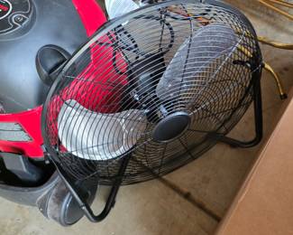 Fan