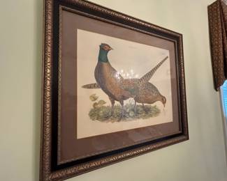 Pheasants MF. Plate LVII
