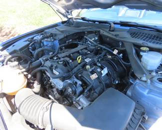 2022 Convertible Ford Mustang. Ecoboost Coastal Cruiser. 22,550 miles, 10 speed auto transmission,Heated/Cooling power seats. Rearview camera, push button start, perimeter alarm. Beautiful Brittany Blue.