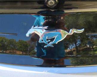 2022 Convertible Ford Mustang. Ecoboost Coastal Cruiser. 22,550 miles, 10 speed auto transmission,Heated/Cooling power seats. Rearview camera, push button start, perimeter alarm. Beautiful Brittany Blue.