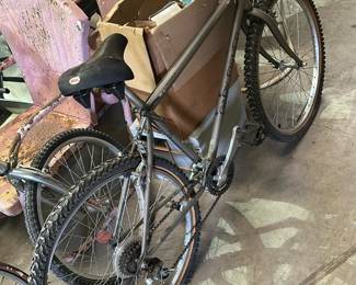Trek Silver Adult Tricycle Frame