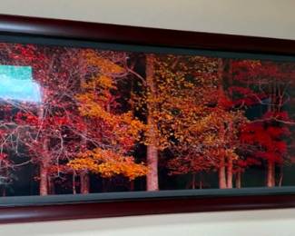 T. Mangelsen Painting 