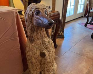 Beautiful dog sits on the floor. This is a big dog gets along with all other dogs ha ha