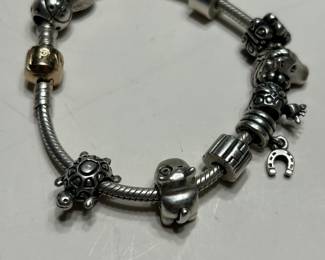 Pandora Charm Bracelet 