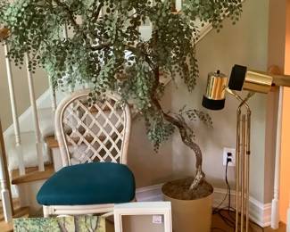 Beneath the Ficus Tree
