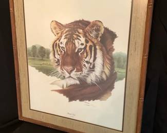 J Stark African Cats Collection The Tiger