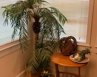 Palm Tree Corner