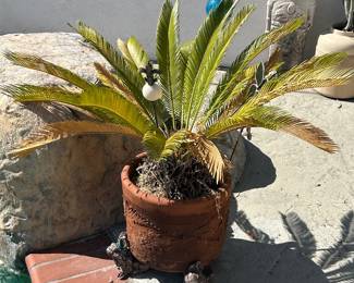 Plants, pots , patio furniture, statuary and yard art.