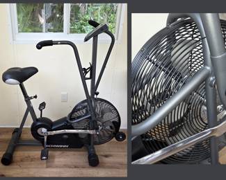 Schwinn Exercise Bike with Fan