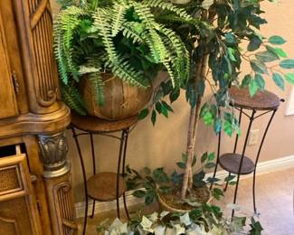 Plants And Plant Stands