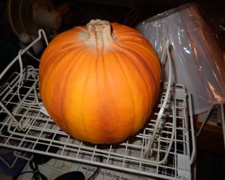 Pumpkin