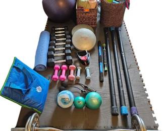 Complete Home Fitness Lot Hex Dumbbells, Curl Bar, Balance Trainers And More