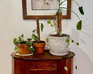The plants are sold.