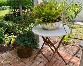 The plants are sold.