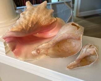 075 shells