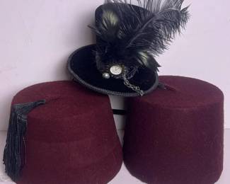 294 assortedhatlotmatchedpairrexfezha