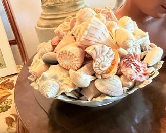 Assorted Seashell Display Bowl