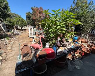 The garden!
