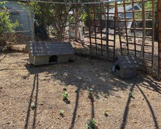 Chicken coops & dog houses
