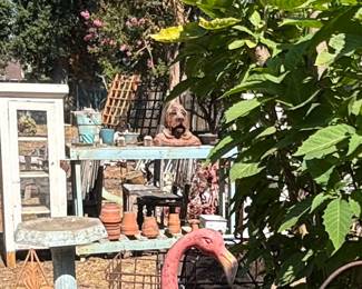 The garden