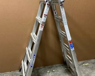 Werner Ladder