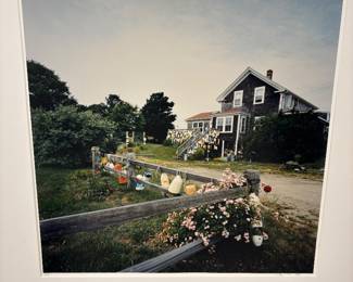 Photograph