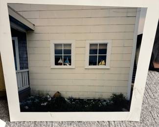 Photograph
