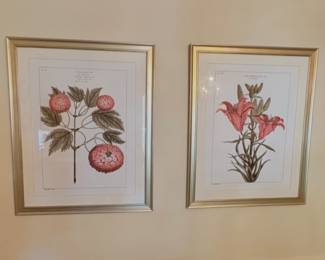  Vintage Frame Prints- botanical scene Ballard Designs productions based on 18th-century French studies by Pierre Joseph Buchoz