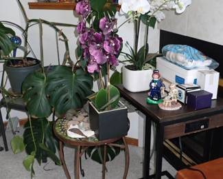 PLANTS