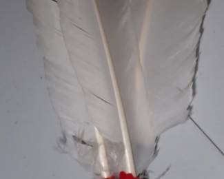 FEATHERS